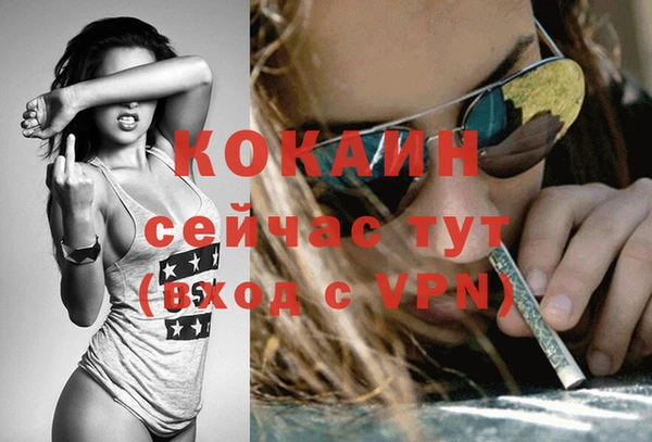 амф Богданович