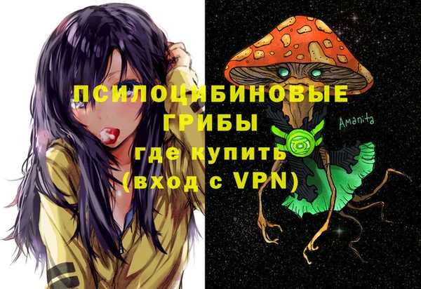 наркотики Богородицк