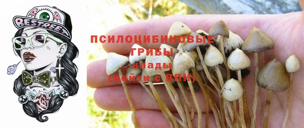 синтетический гашиш Богородск