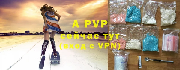 амф Богданович