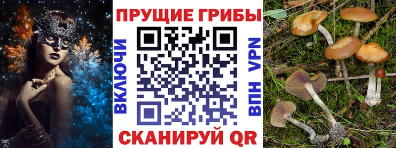 наркошоп  Якутск  Галлюциногенные грибы Magic Shrooms 